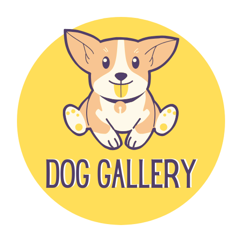 Dog Gallery
