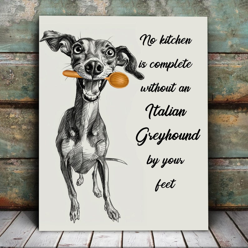 No Kitchen Is Complete Without an Italian Greyhound by Your Feet