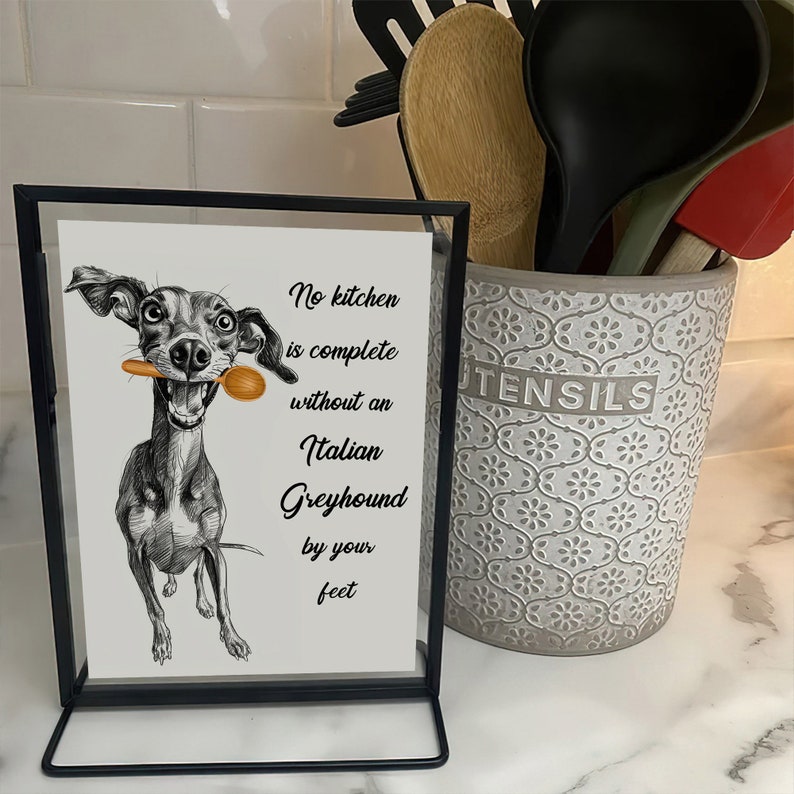 No Kitchen Is Complete Without an Italian Greyhound by Your Feet