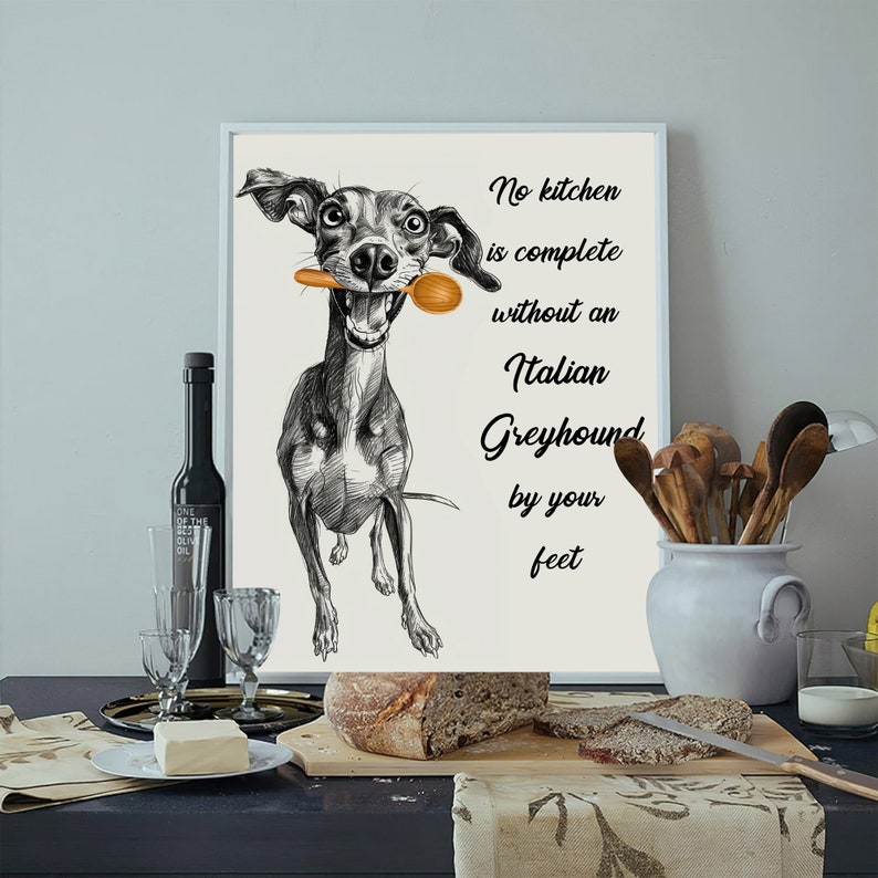 No Kitchen Is Complete Without an Italian Greyhound by Your Feet