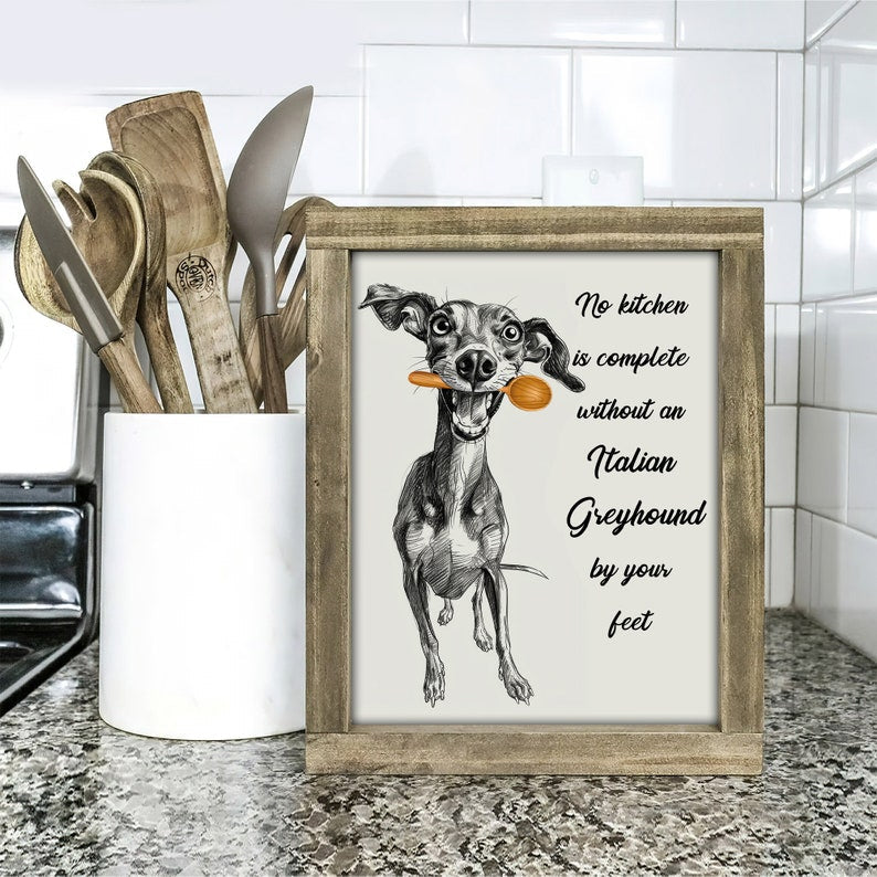 No Kitchen Is Complete Without an Italian Greyhound by Your Feet