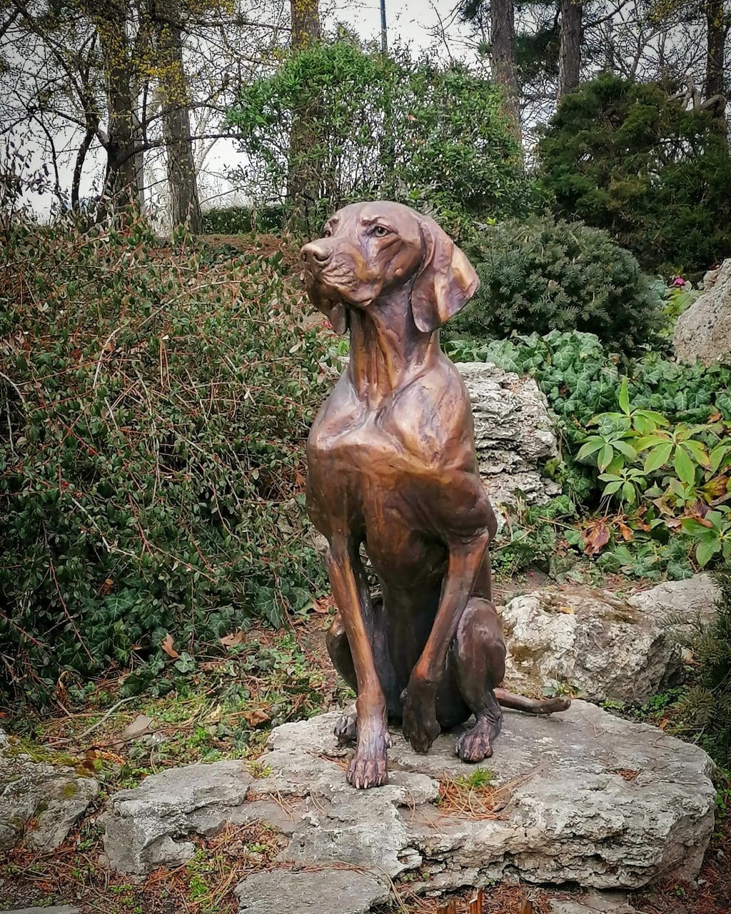 Hungarian Dog Sculpture