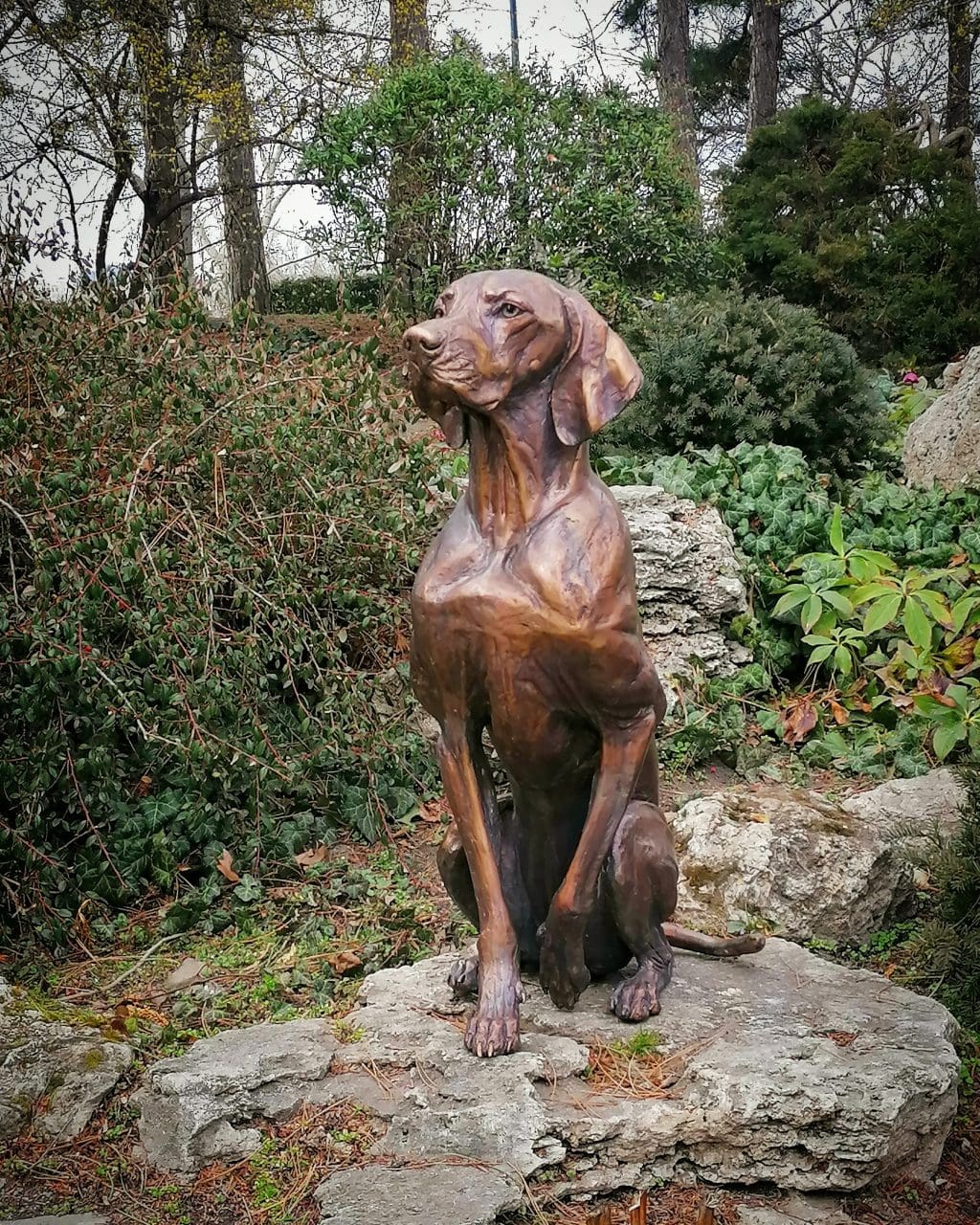 Hungarian Dog Sculpture