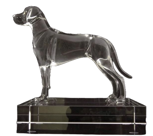 Rhodesian Ridgeback Glass Sculpture
