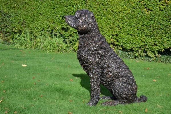 Life-Size Seated Labradoodle Bronze Sculpture